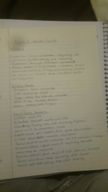 exam 2-cognitive psychology