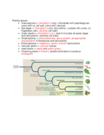 Exam #2 Study Guide Dr. Lawrey