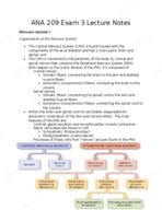 ANA 209 Exam 3 Study Guide