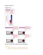 Cognition Notes Week 12
