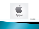 THE MIS 301 - Intro to Info Technology Management - Study Guide - Apple