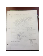 Chapter 16&17 notes