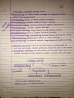 BIOBASES FINAL EXAM STUDY GUIDE