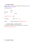 Lecture 13