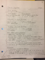 Psych 111 Week of 3/27 Notes