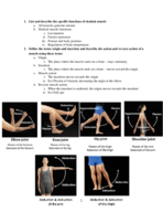 Physiology 201 Exam 3