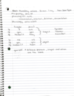 SHS 301 Linguistics study guide 2