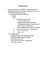 Neurophysiology