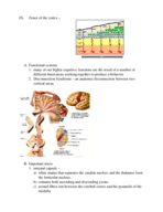 Nervous system anatomy pt. 2