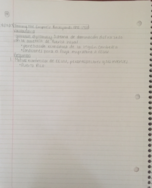 Culturas Latinas Week 3 Notes