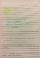 Accounting Notes Week 1