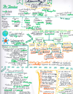 General Chemistry Chapter 1 notes
