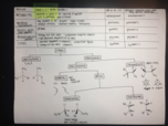 Zapanta BIOSC 1000 Big Ideas Mapped: Lec 1-26