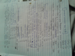 Econ 104
