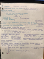 Dalton's Law of Partial Pressures and Gas Exchange in the Alveolus 4/7
