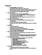 Endocrine System