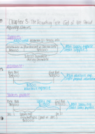Chapter 3: The Accounting Cycle- End of the Period