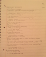 Couples Relationships Week 4 Class Notes