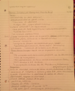 Culturas Latinas Week 4 Class notes