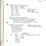 Animal Science Final Exam Study Guide