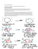 BI 212 Midterm 1 Study Guide
