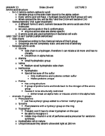 Week 2 notes