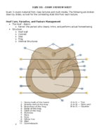 EQIN MGMT- Exam 3 Final SG