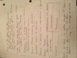 Study Guide for Final Exam