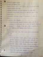 Chapter 17: Digestive System 