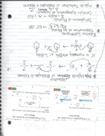 Organic Chemistry II Final Study Guide