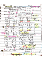 final study guide