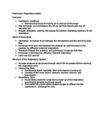 Respiratory System Notes