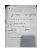 BMS 1004 Study guide 2 