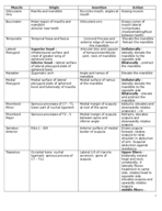 Final study guide 