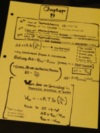 Chemistry 153 Study Guide 2 Chapter 19
