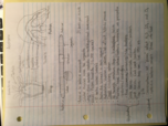 Bio Lab Exam #3