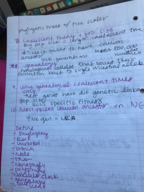 Genetics and Evolution Final Study Guide