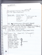Entire Semester of Neuropsycology Notes