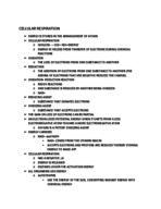BIO 1 Cellular respiration
