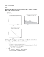 Final Exam Notes