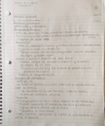 Culturas Latinas Week 6 Notes