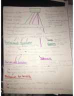 Biology Final Study Guide