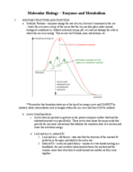 Molecular Biology – Enzymes and Metabolism