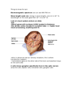 study guide for quiz 1 sensation and perception