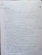 Couples Relationships Week 8 Notes