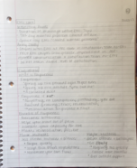 Couples Relationships Week 9 Notes