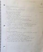 Culturas Latinas Week 8 Notes