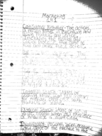 Marketing 141 Consumer  Behavior 