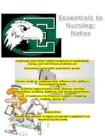 Essentials to Nursing 