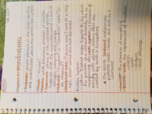Chapter 3: Hinduism